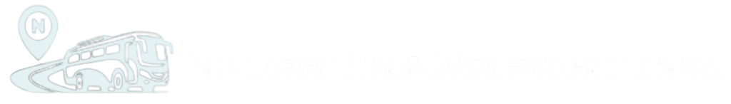 Website Logo
